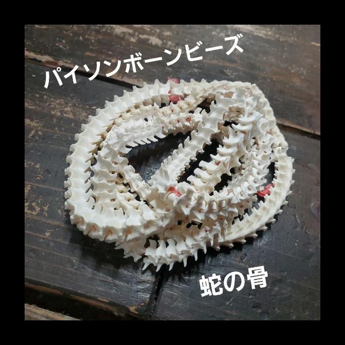 蛇骨 スネーク ボーン【材料】天然物【大迫力】クラフト ウォレットチェーンなど 使い方は自由!! ビーズ？ | 