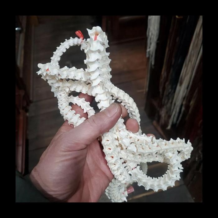 蛇骨 スネーク ボーン【材料】天然物【大迫力】クラフト ウォレットチェーンなど 使い方は自由!! ビーズ？ |  | 01