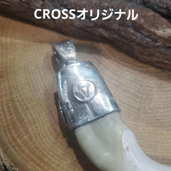 rym-13熊牙ターコイズペンダント!オールドチベタリアンターコイズ! |  | 02