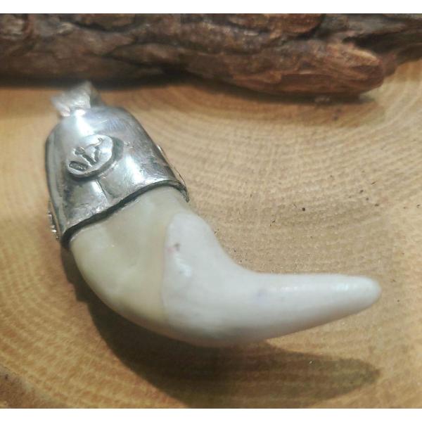 rym-13熊牙ターコイズペンダント!オールドチベタリアンターコイズ! |  | 03