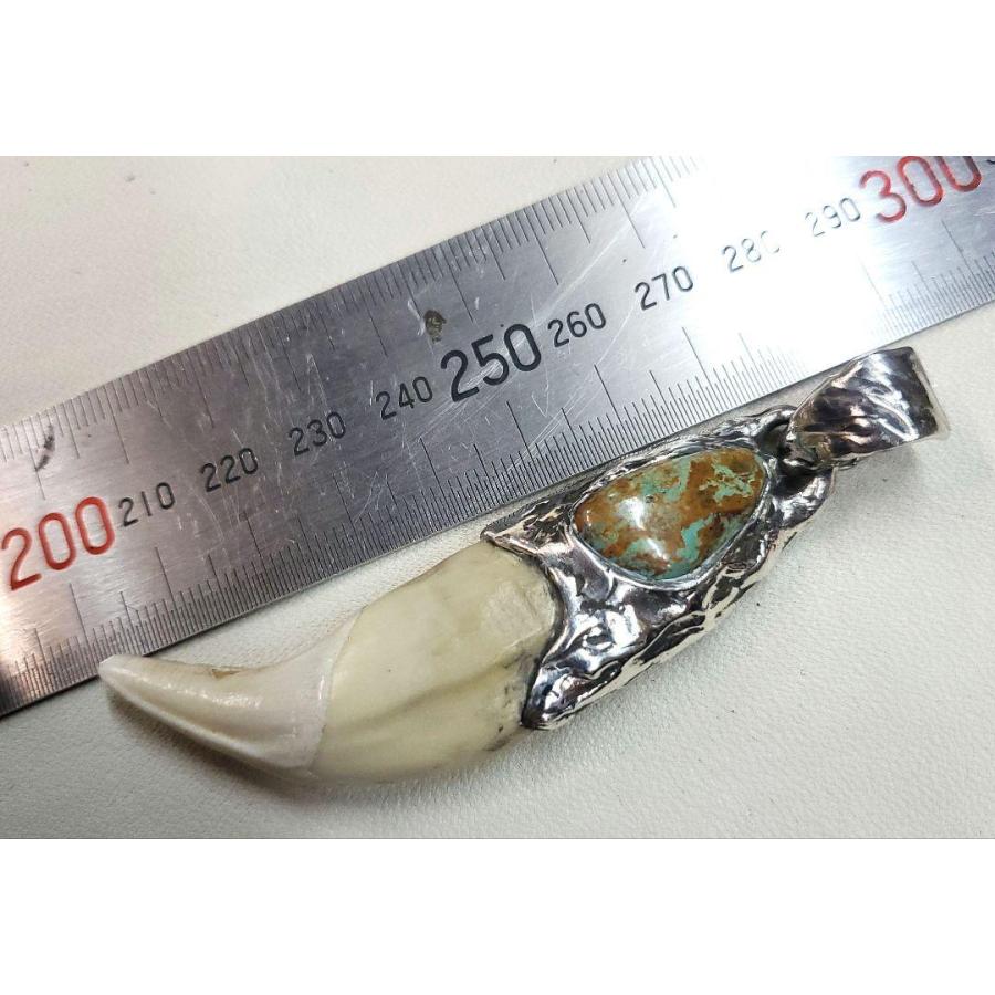 rym-32 熊牙 ベア ターコイズ付きペンダント 一点物 ネックレス ハンドメイド アクセサリー 男女兼用 ゲテモノ インディアンジュエリー |  | 02