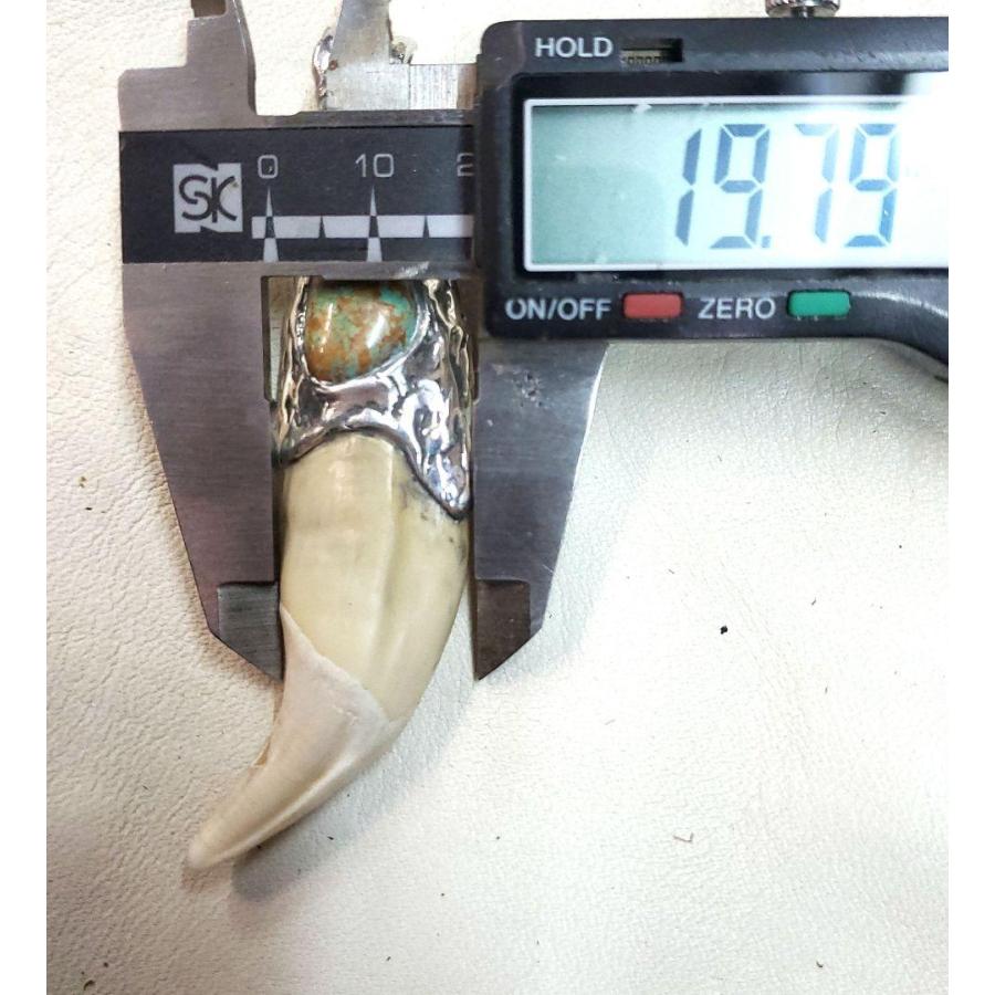 rym-32 熊牙 ベア ターコイズ付きペンダント 一点物 ネックレス ハンドメイド アクセサリー 男女兼用 ゲテモノ インディアンジュエリー |  | 03