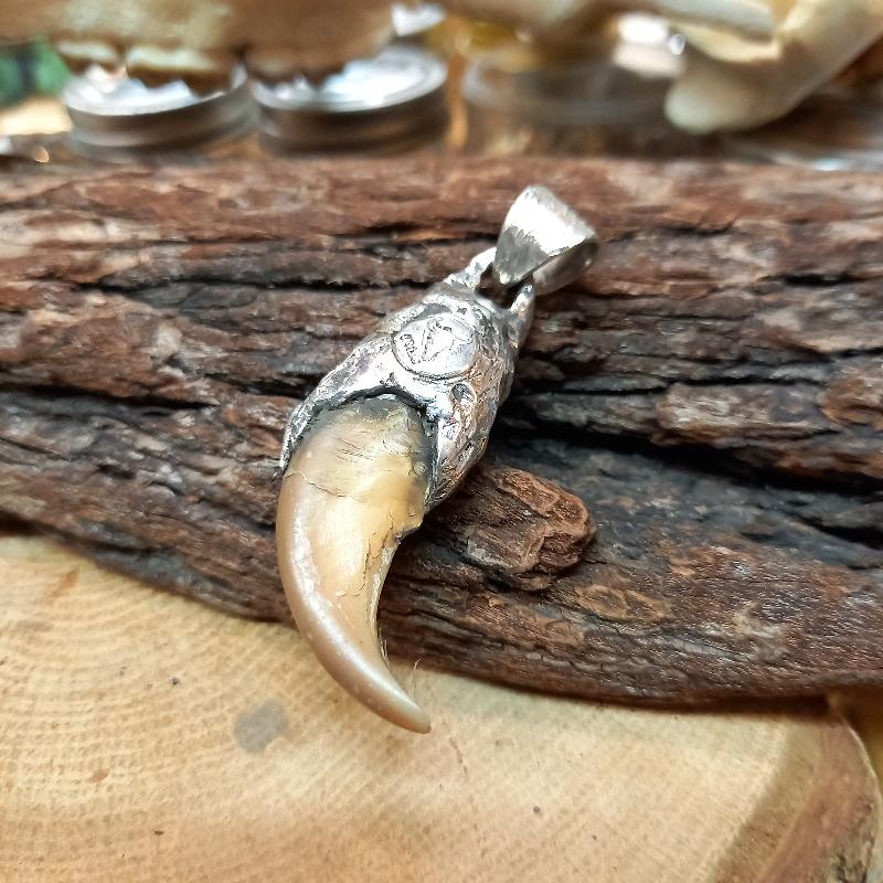 rym-7 ベアクロー ターコイズペンダント【熊爪】ネックレス【Silver925】ハンドメイド |  | 03