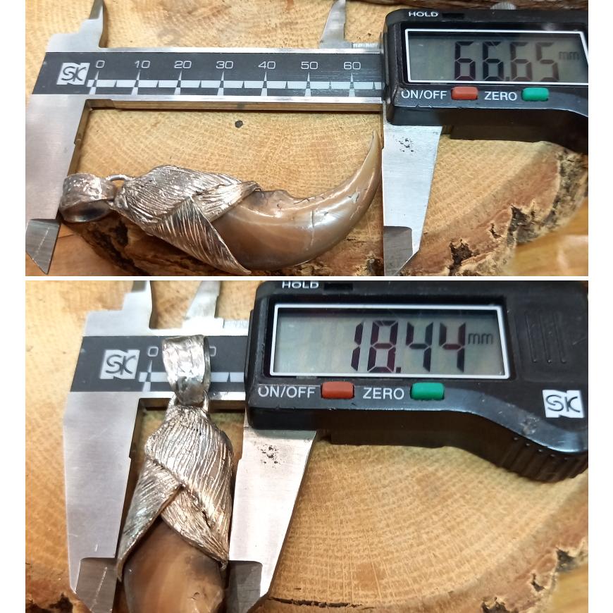 rym-8 ベアクロー ペンダント【熊爪】ネックレス【Silver925】ハンドメイド |  | 04