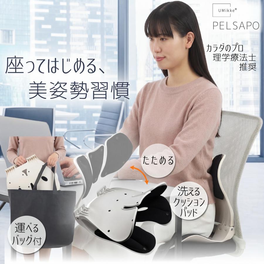 stylestandard 姿勢サポートチェア Style（スタイル） 姿勢 サポートチェア MTG スタイルスマート Style