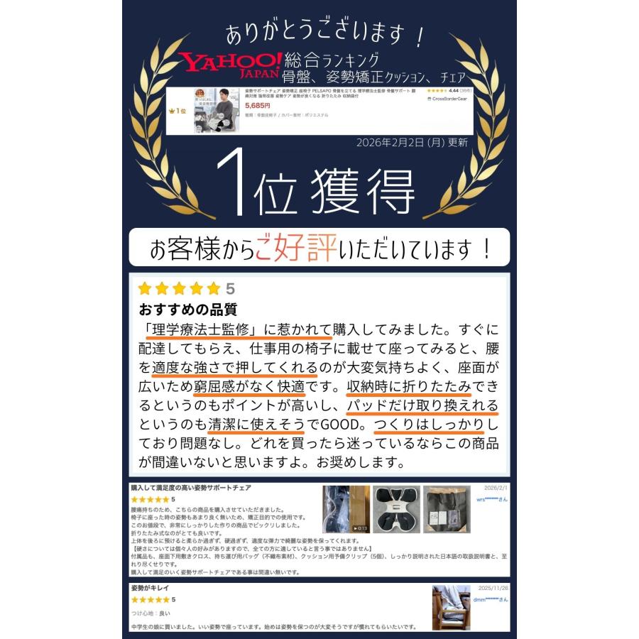 姿勢サポートチェア 姿勢矯正 座椅子 PELSAPO 骨盤を立てる 理学療法士