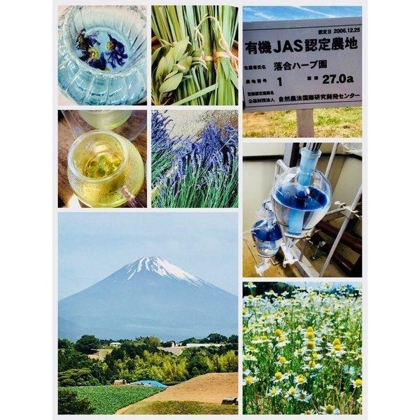 花粉の季節 ハーブティー 10個入 ティーパック ブレンドティー オリジナルブレンド スッキリ 苦味がない 春 花粉症 ペパーミント クロスゲート 通販 Yahoo ショッピング