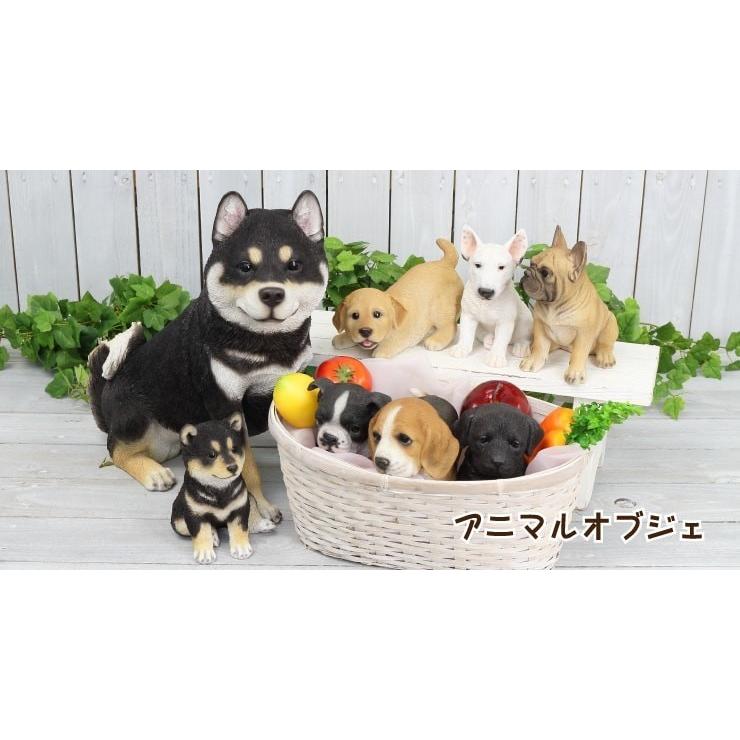 30 Offアウトレットsale 業者価格 ファーアニマル 犬 大 イヌ 動物 インテリア 100個セット 正規取扱店 Uristy Ua