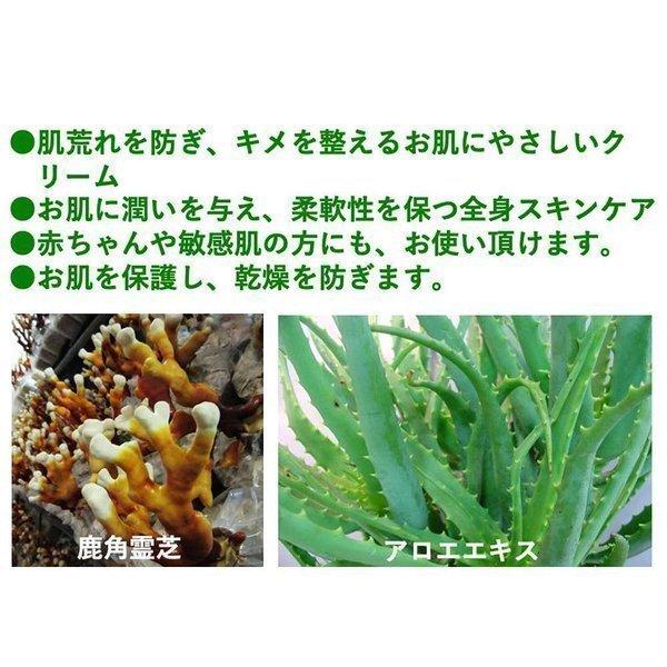 全身 クリーム Nbナチュラルクリームr 100g 保湿クリーム 無香料 自然派 肌荒れ 乾燥 赤ちゃん 敏感肌 クレス薬品 クロスゲート 通販 Yahoo ショッピング