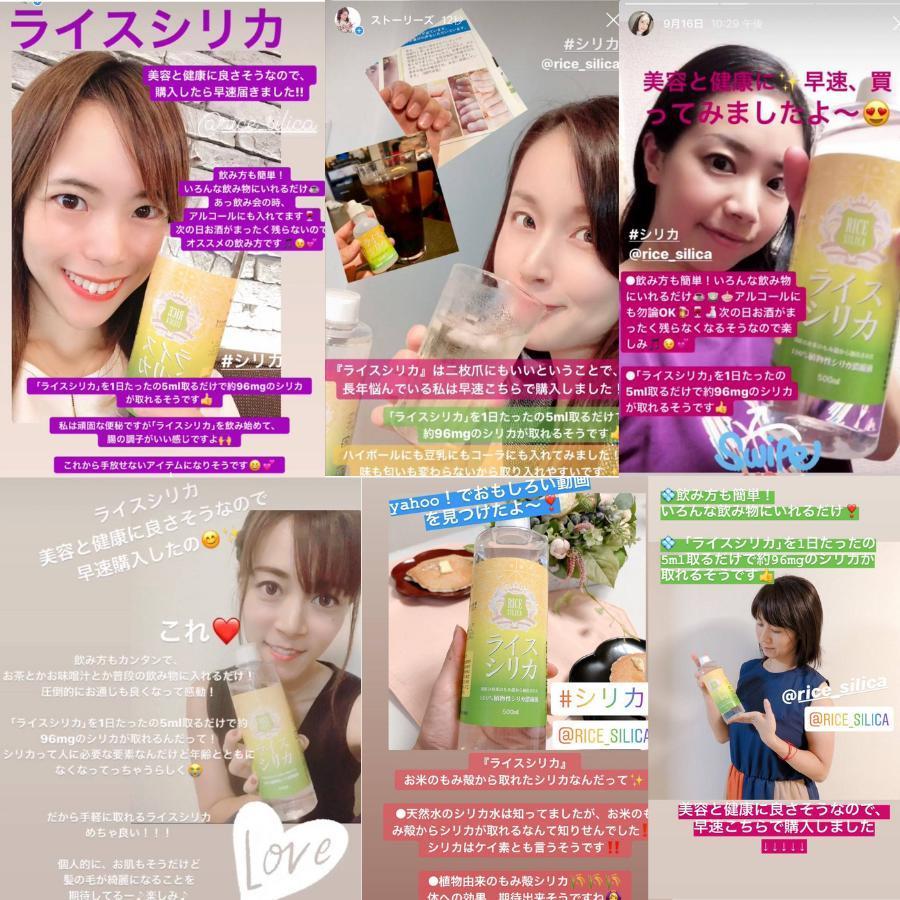 ライスシリカ プレミアム 500ml 植物性ケイ素濃縮液 田七人参サポニエキス イノシトール配合 珪素 ケイ素フラボノイド ステロール 鉄分 カルシウム ミネラル クロスゲート 通販 Yahoo ショッピング