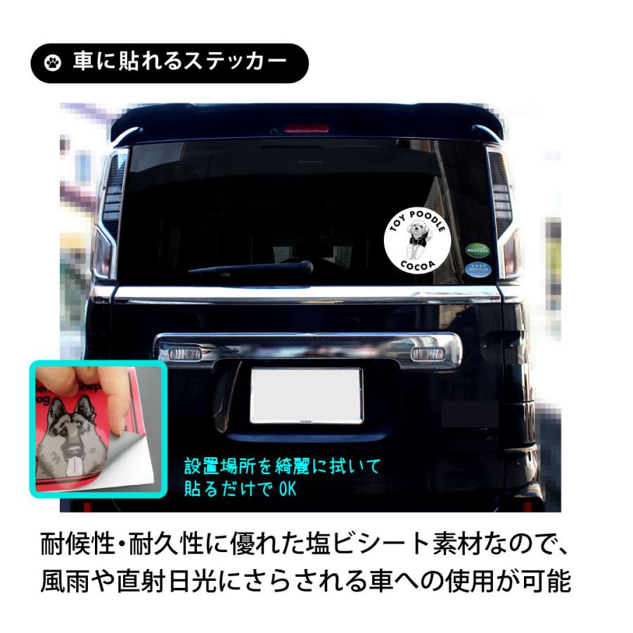 カーステッカー イラスト モノクロ 犬 猫 ペット 名入れ 写真 似顔絵