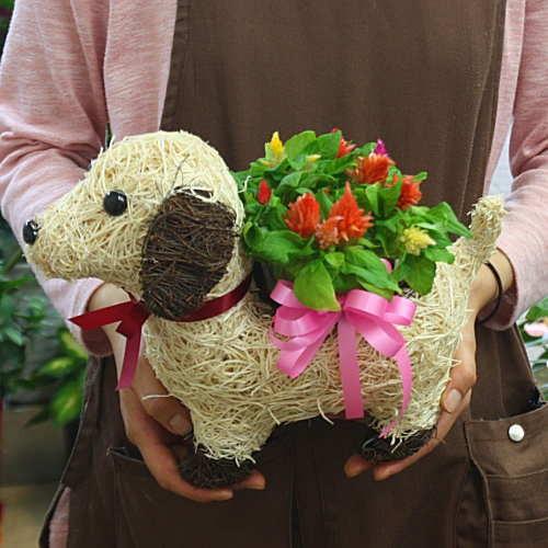 わんちゃんバスケット 白い犬 Mサイズ とセロシア キャンドル ケイトウ 誕生日プレゼント 17 244 Sero クロスリースタイル 通販 Yahoo ショッピング