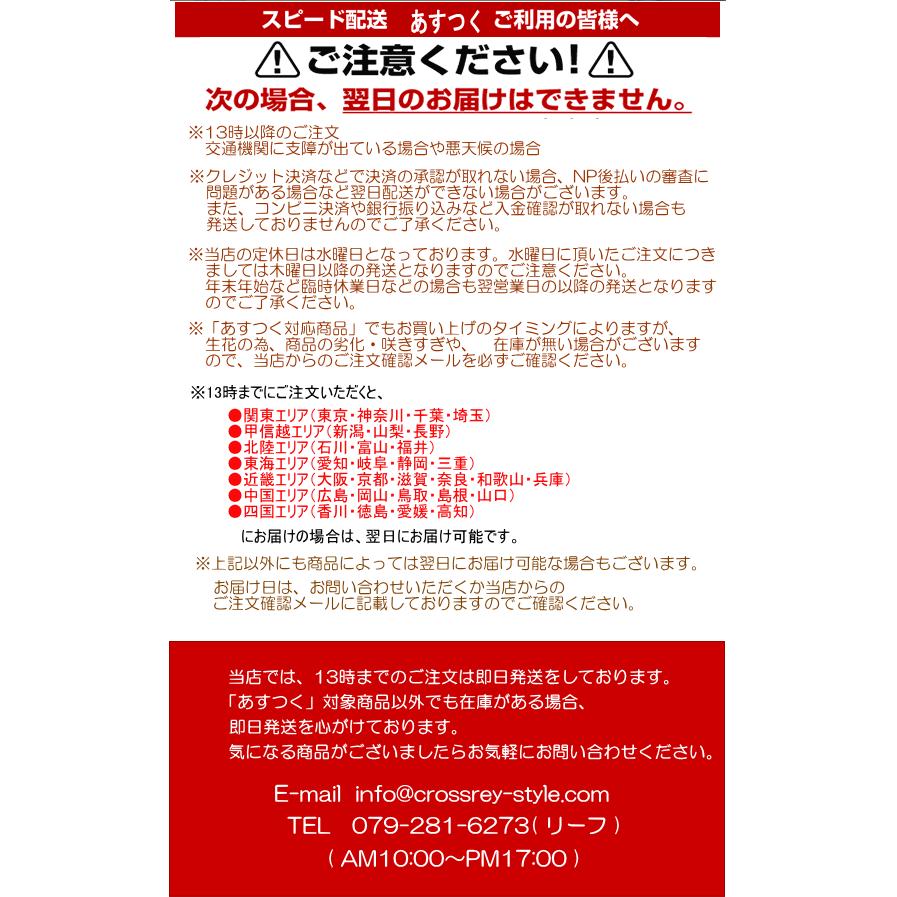 唐辛子 ハバネロ鉢植え 実付き 激辛とうがらし（トウガラシ） : クロス