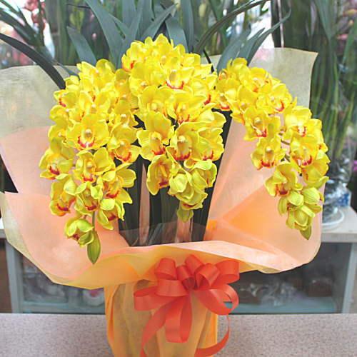 専用 ピンクシンビジューム3本立ち クレイフラワー Amazon.co.jp: シンビジューム鉢植え 【ピンク色】3本立て