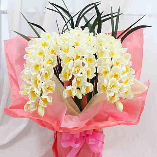 ☆シンビジューム☆ルチアーノ’マイウサギ’☆アーチ型☆6号鉢☆2F☆1鉢 シンビジューム 3本アーチ型 白色 Sサイズ【造花】光触媒加工 : クロス