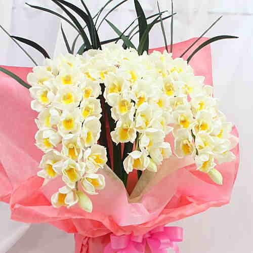 シンビジューム 3本アーチ型 白色 Sサイズ【造花】光触媒加工 : クロス