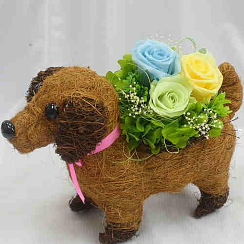 ワンちゃん 犬 バスケットにバラのプリザーブドフラワーアレンジメント ギフト 誕生日 記念日 お祝い お供えに Inu 3 クロスリースタイル 通販 Yahoo ショッピング