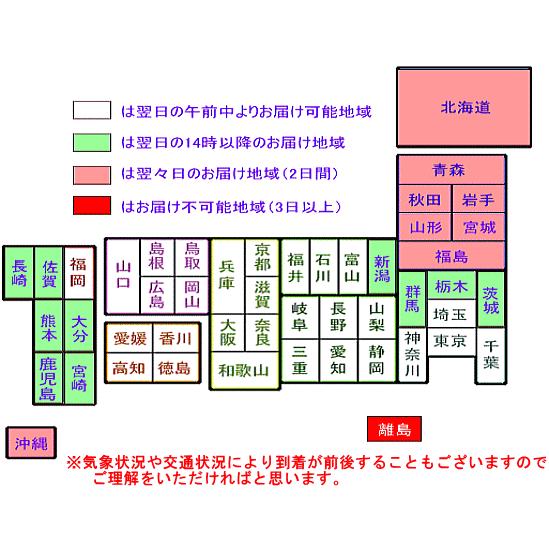 アジサイ きらきら星 5号籐かご付き 花 ギフト : クロスリースタイル