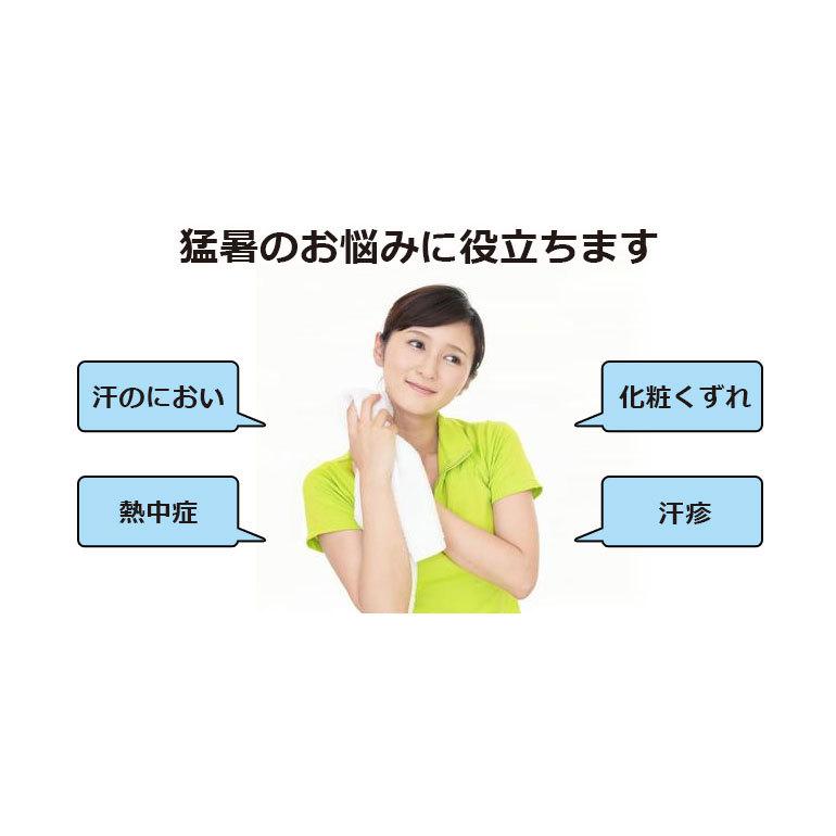 ネッククーラー【ホワイト】冷却プレート 充電式 2024 首掛け 電動 最強 首掛けクーラー おしゃれ 羽なし ハンズフリー 電熱ネッククーラー