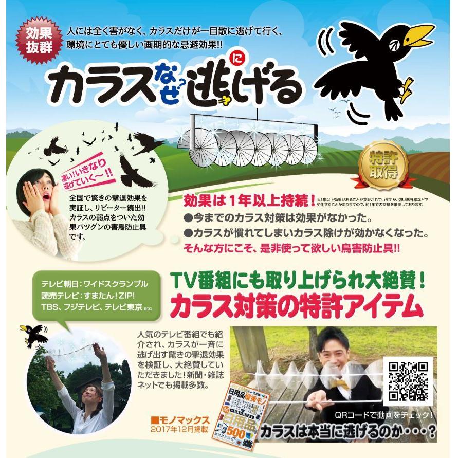 カラス撃退！カラスなぜ逃げる? 農園 工場用5m 【公式通販】