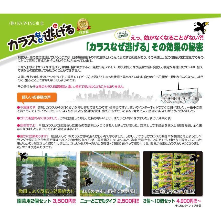 カラスなぜ逃げる? 標準タイプ お得な10個セット 撃退率95％以上