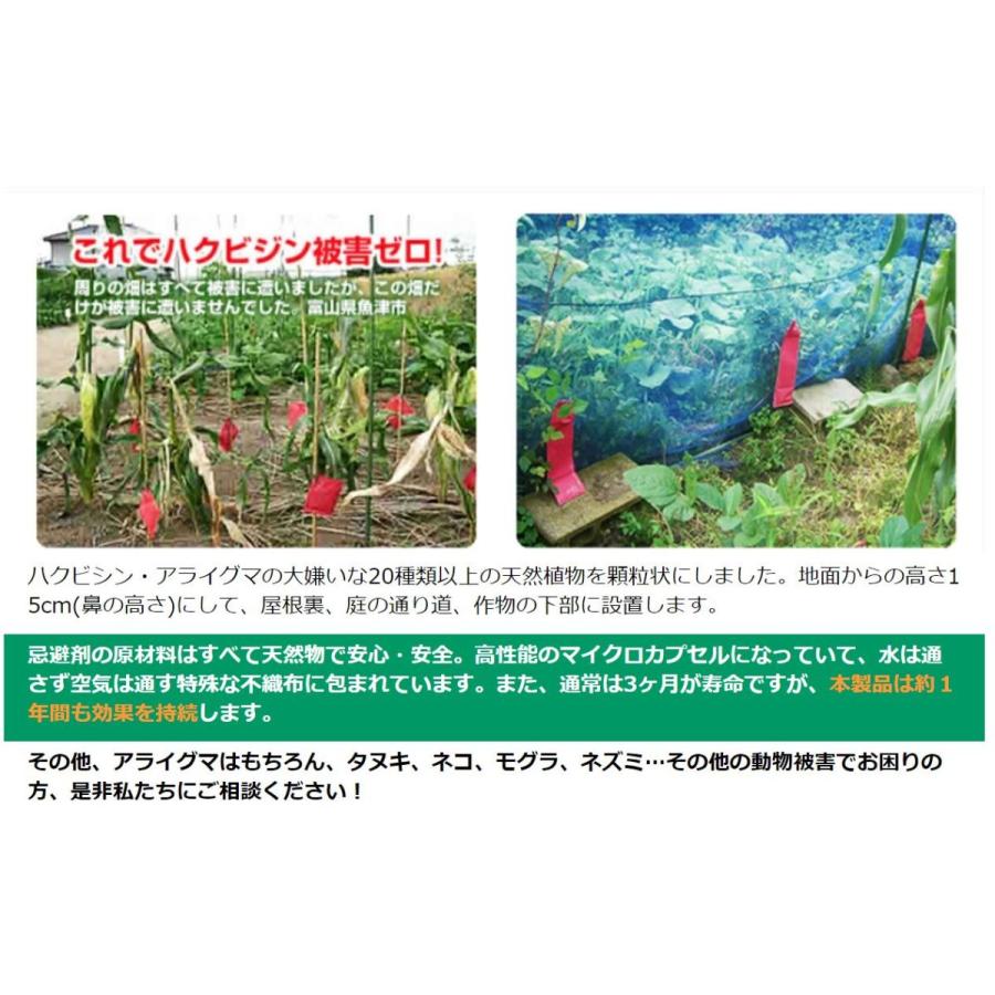 ハクビシンなぜ逃げる? 屋外用 10個セット