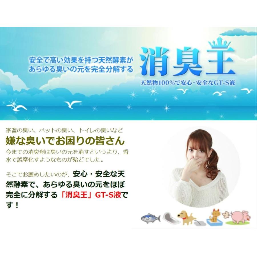 消臭王GT-S 液体・無臭 10リットル これぞ本物 あらゆる悪臭を完全分解