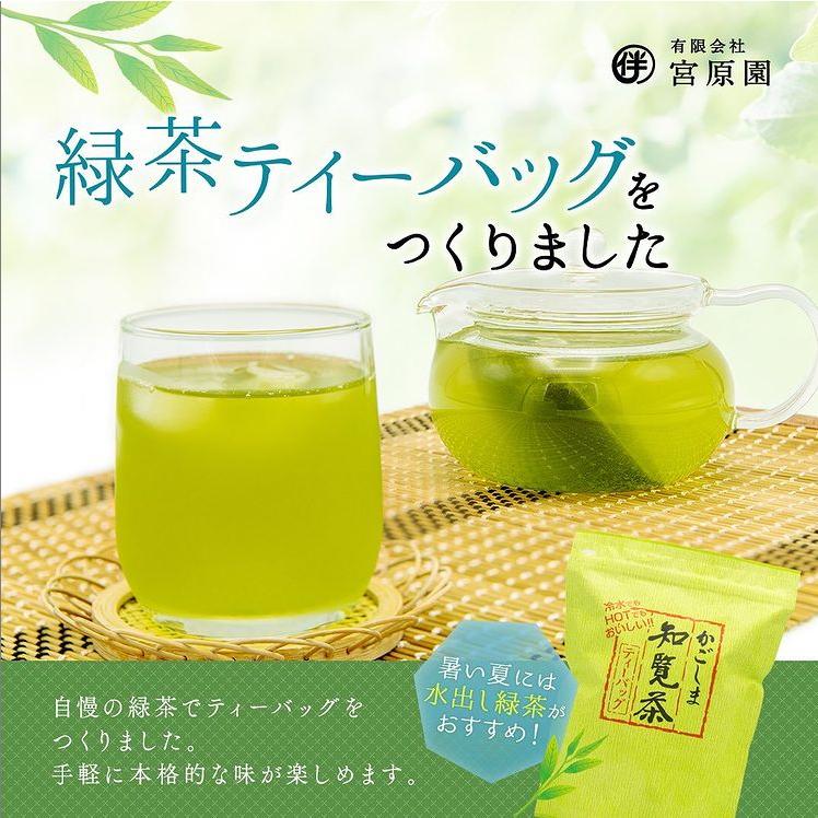 知覧茶 ティーバッグ 6g×75袋 大容量450g 鹿児島県産 |  | 02