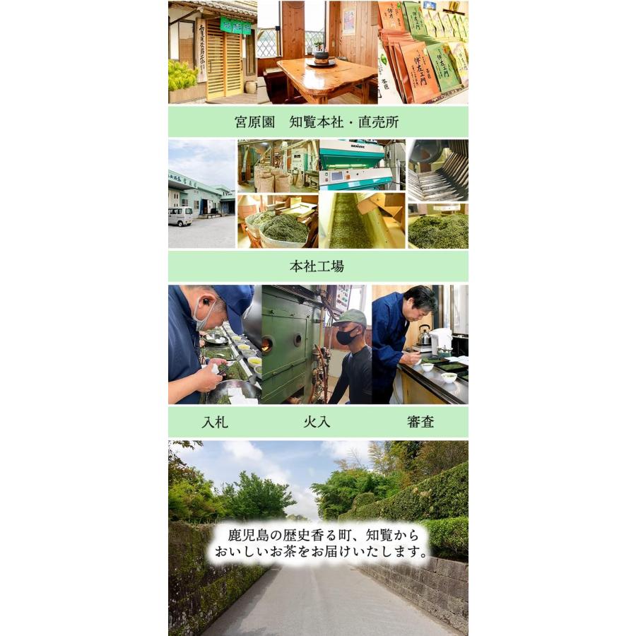 知覧茶 ティーバッグ 6g×75袋 大容量450g 鹿児島県産 |  | 04