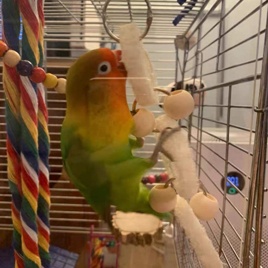 鳥おもちゃ オウムブランコ 7点セット 鳥グッズ 鳥の遊び場 吊下げタイプ玩具 セキセイインコおもちゃ 噛む玩具 組み合わせ 棚 台 原木 :hmo008:CROSSYOU - 通販 - Yahoo!ショッピング 鳥おもちゃ オウムブランコ 7点セット 鳥グッズ 鳥の遊び場 吊下げタイプ玩具 セキセイインコおもちゃ 噛む玩具 組み合わせ 棚 台 原木 :hmo008:CROSSYOU - 通販 - Yahoo!ショッピング