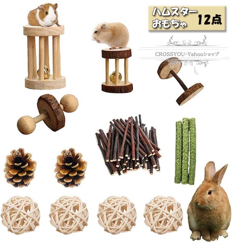 ハムスターおもちゃ 小動物のおもちゃ 12点 噛むおもちゃ歯磨きボール 木製 遊び場 ハムスター玩具 ハムスター チンチラ ウサギなど 遊び ... - Crossyou2019 Hmo016