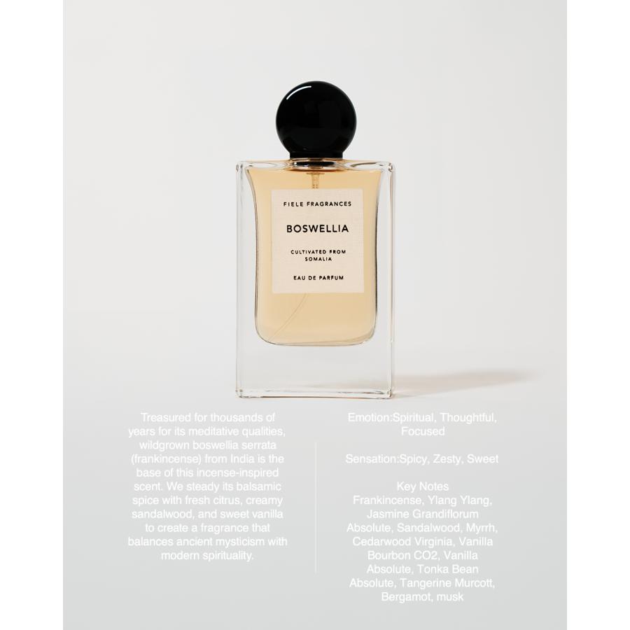 期間限定！ポイント10倍 フィエール フレグランス FIELE FRAGRANCES