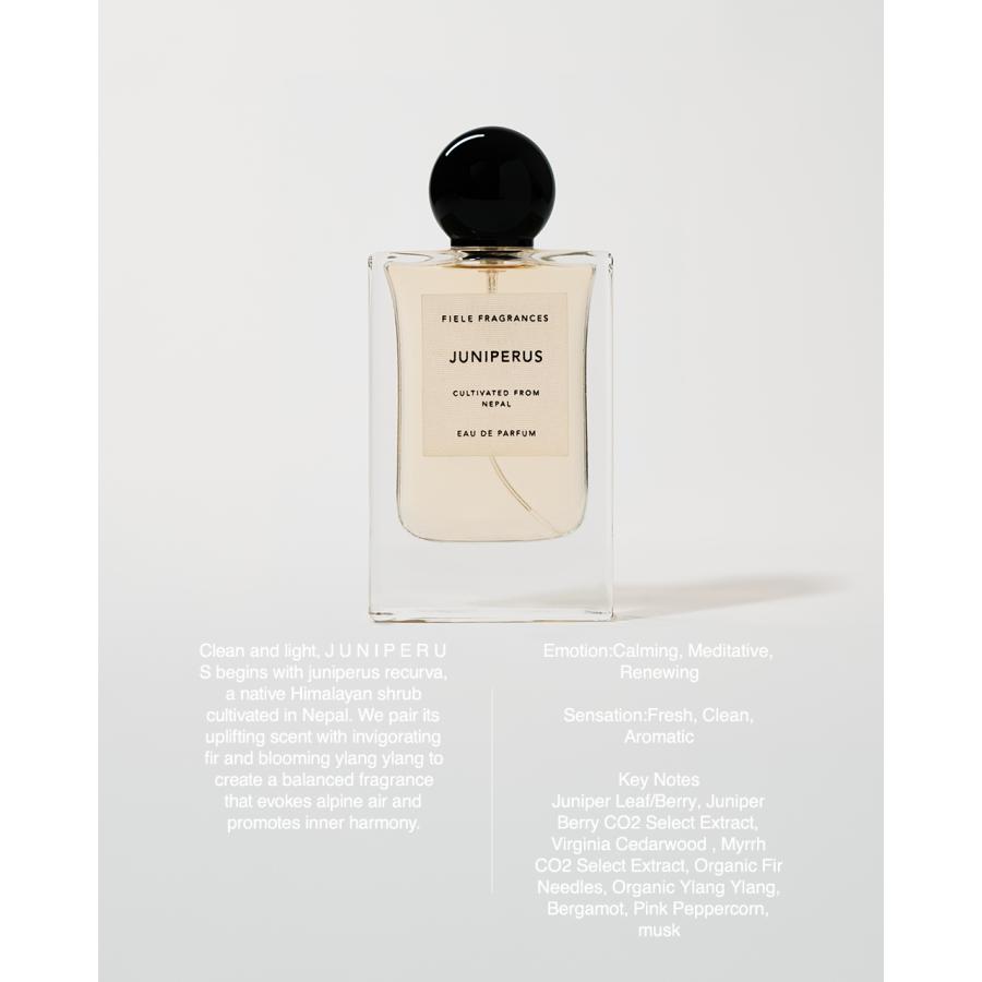 Fiele Fragrance SANTALUM 香水 Fiele Fragrances Santalum
