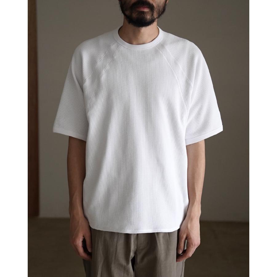 チ*イ様 goldwin メッシュワッフルアクチノイドティーシャツ 2 GOLDWIN（ゴールドウイン） Goldwin Tシャツ メッシュワッフル