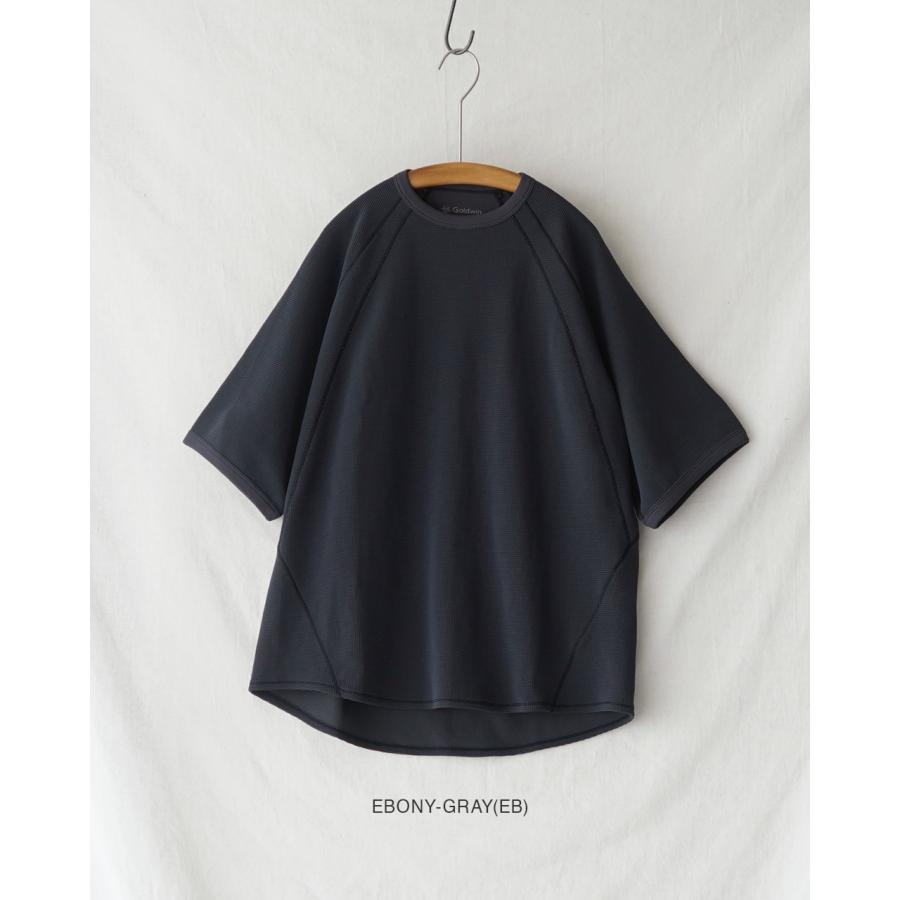 GOLDWIN（ゴールドウイン） Goldwin Tシャツ メッシュワッフル
