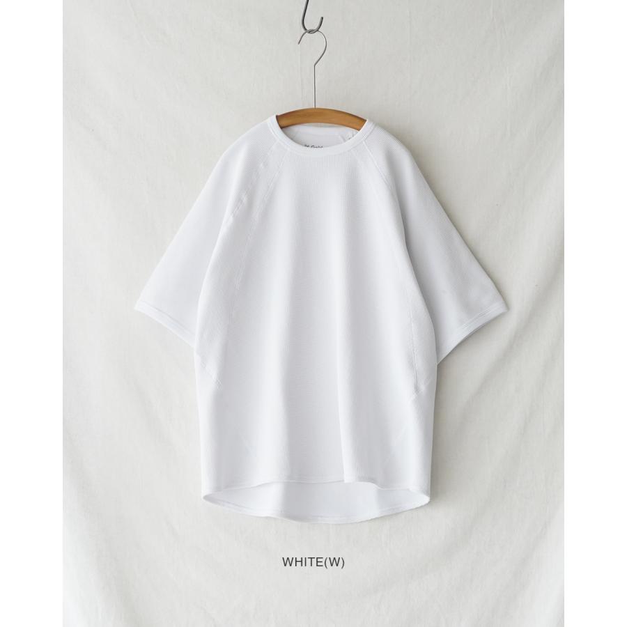 チ*イ様 goldwin メッシュワッフルアクチノイドティーシャツ 2 GOLDWIN（ゴールドウイン） Goldwin Tシャツ メッシュワッフル