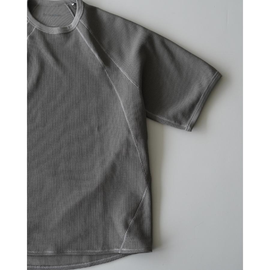 GOLDWIN（ゴールドウイン） Goldwin Tシャツ メッシュワッフル