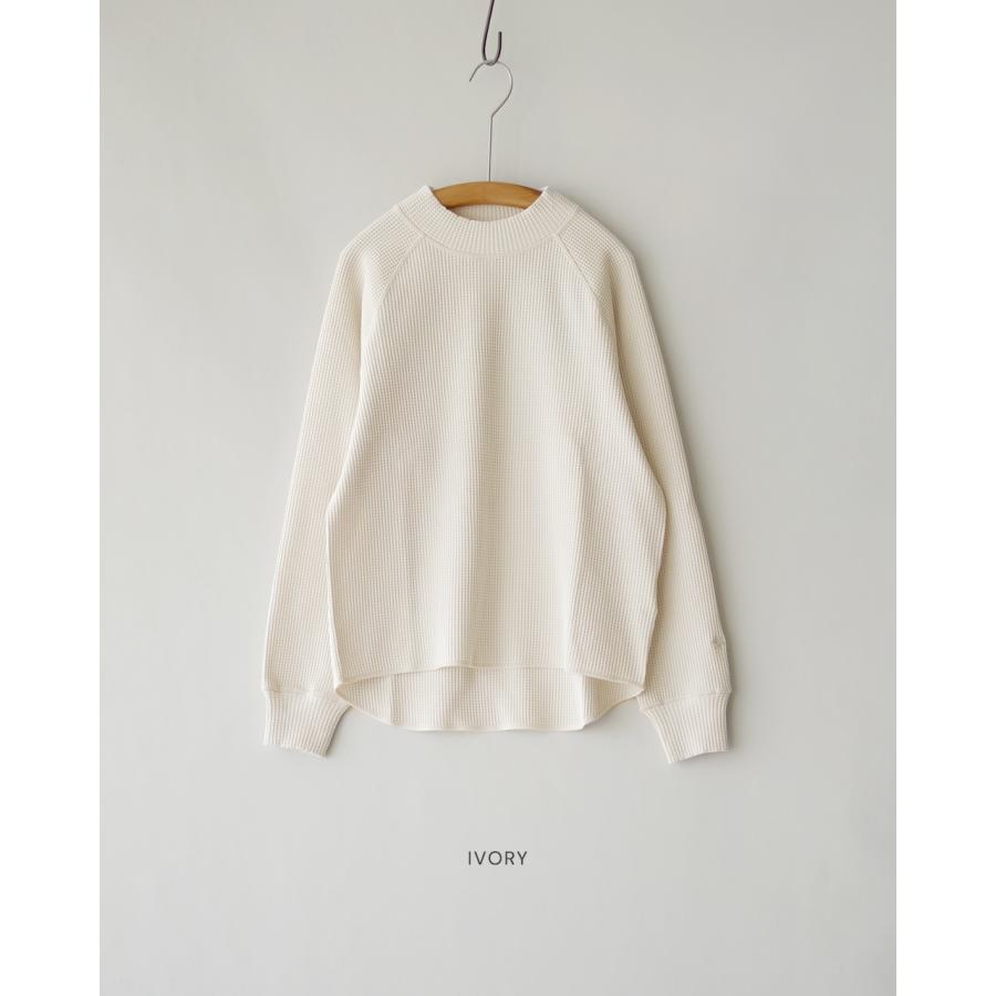 GOLDWIN（ゴールドウイン） Goldwin Tシャツ ワッフル ライト モック