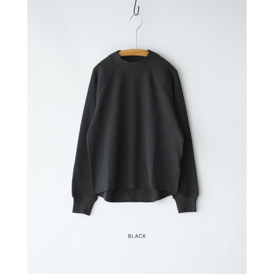 GOLDWIN（ゴールドウイン） Goldwin Tシャツ ワッフル ライト モック