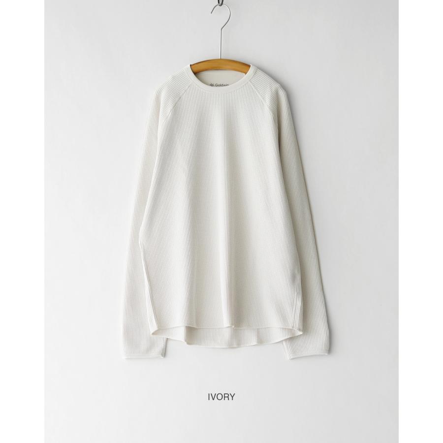 GOLDWIN（ゴールドウイン） Goldwin Tシャツ ワッフル ライト ロング