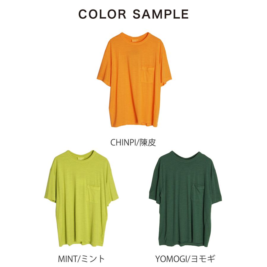 アウトレット アイスブレイカー Icebreaker ネイチャー ダイ ショートスリーブ ポケット Tシャツ カットソー U NATURE DYE  SS POCKET TEE IT22280