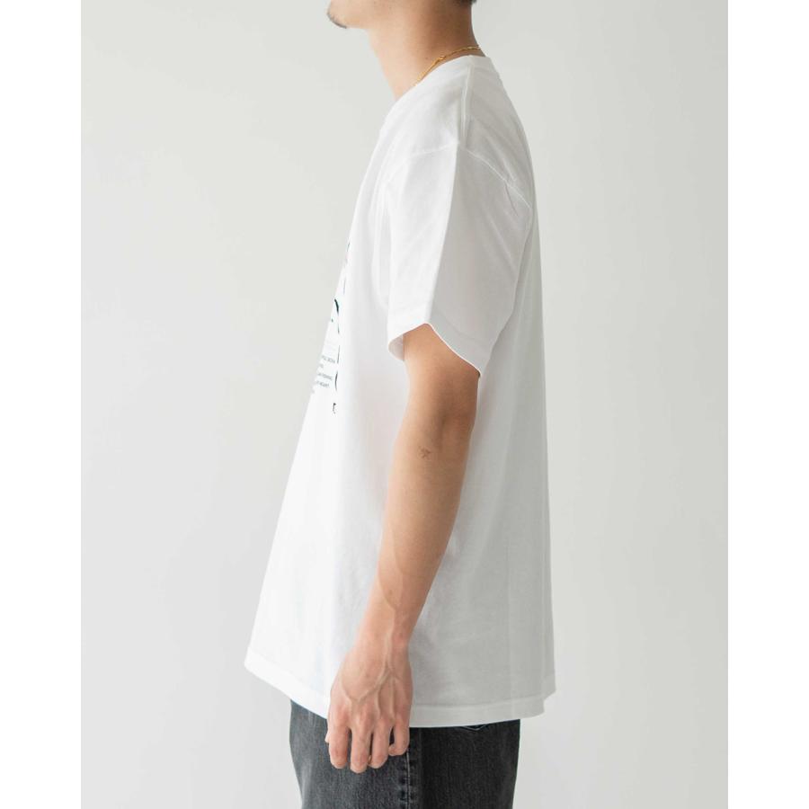 SALE！ジャンクソン × ミレニアムフォレスト JHANKSON MILLENNIUM