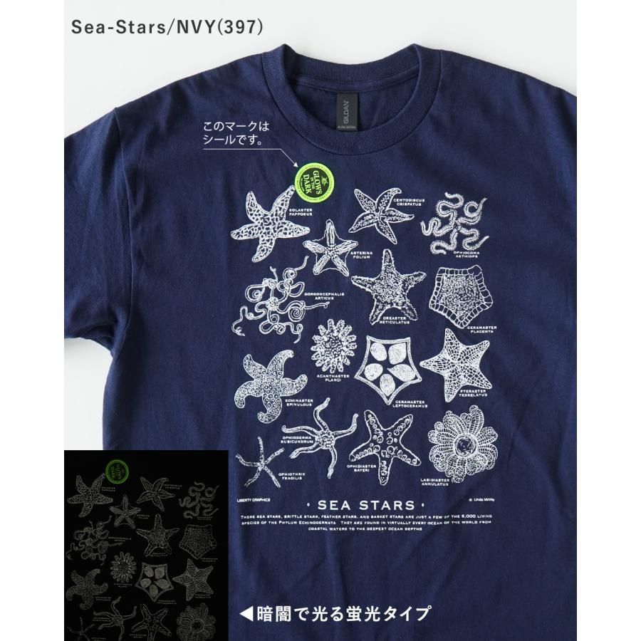 LIBERTY GRAPHICS（リバティグラフィックス） 期間限定10%OFFクーポン 