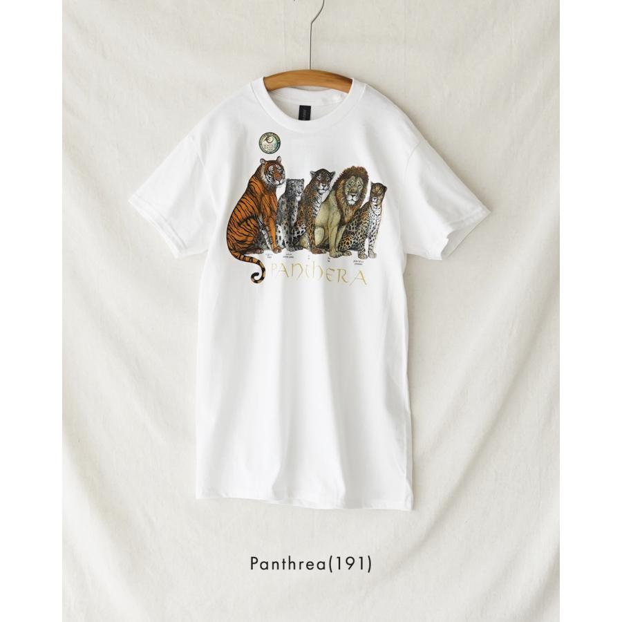 LIBERTY GRAPHICS（リバティグラフィックス） SALE！リバティー
