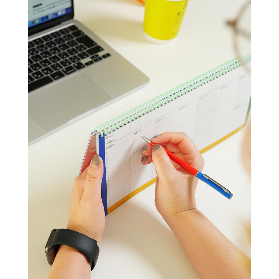 パピ＋ヨンページ PAPIER TIGRE パピエ ティグル ボールペン ユニセックス BALLPOINT PEN