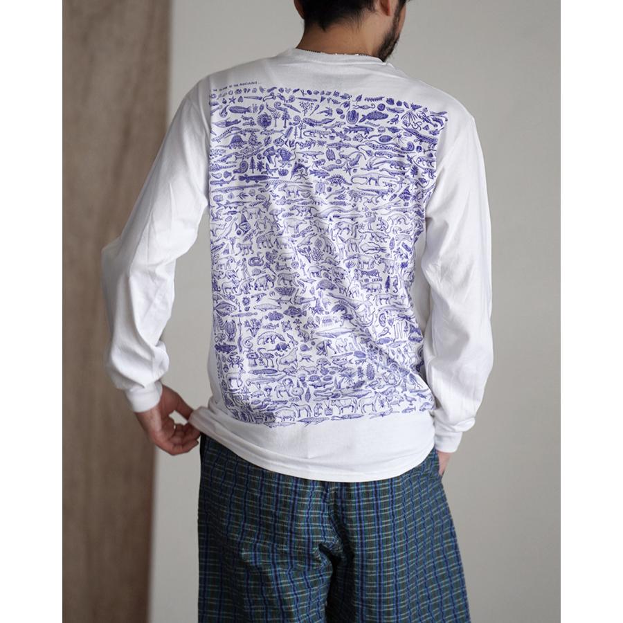 Ray Troll Catalog 2006-7 カタログ 期間限定10%OFFクーポン レイトロル Ray Troll EVOLVE L/S Tシャツ