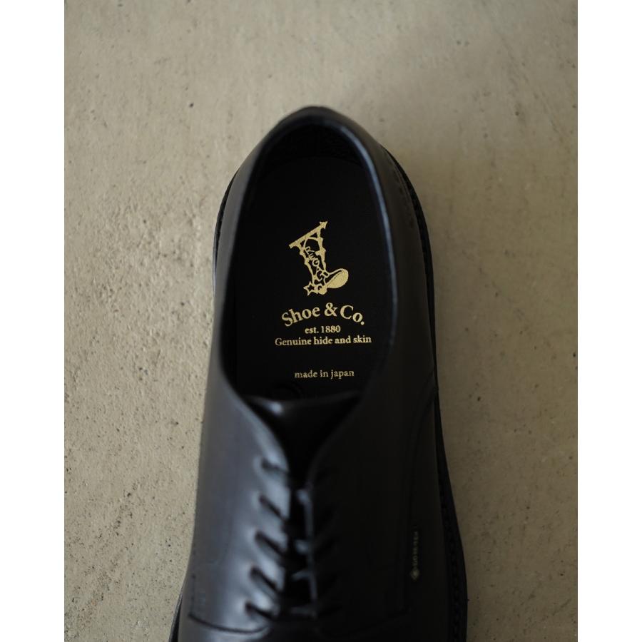 リーガル シューアンドコー REGAL Shoe&Co. プレーントゥ ゴアテックス メンズ Plain-Toe GORE-TEX 835S DF 【レビュー企画対象】の画像