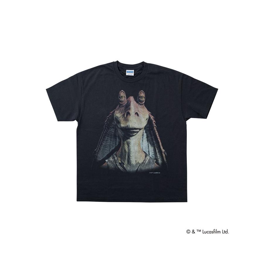 VARIEGATOR ヴァリゲイター バリゲーター VARIEGATOR Tシャツ ジャー