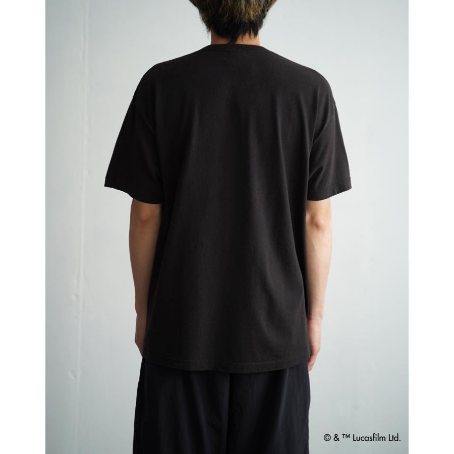 VARIEGATOR ヴァリゲイター バリゲーター VARIEGATOR Tシャツ ダース