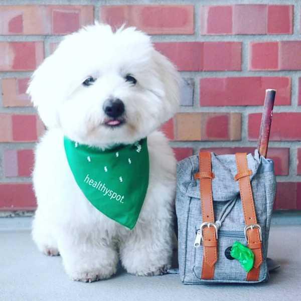 犬用バックパック 犬用ハンドバッグ 旅行用ブルドッグ用小型